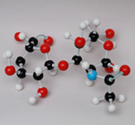 XMM-104-Sucrose